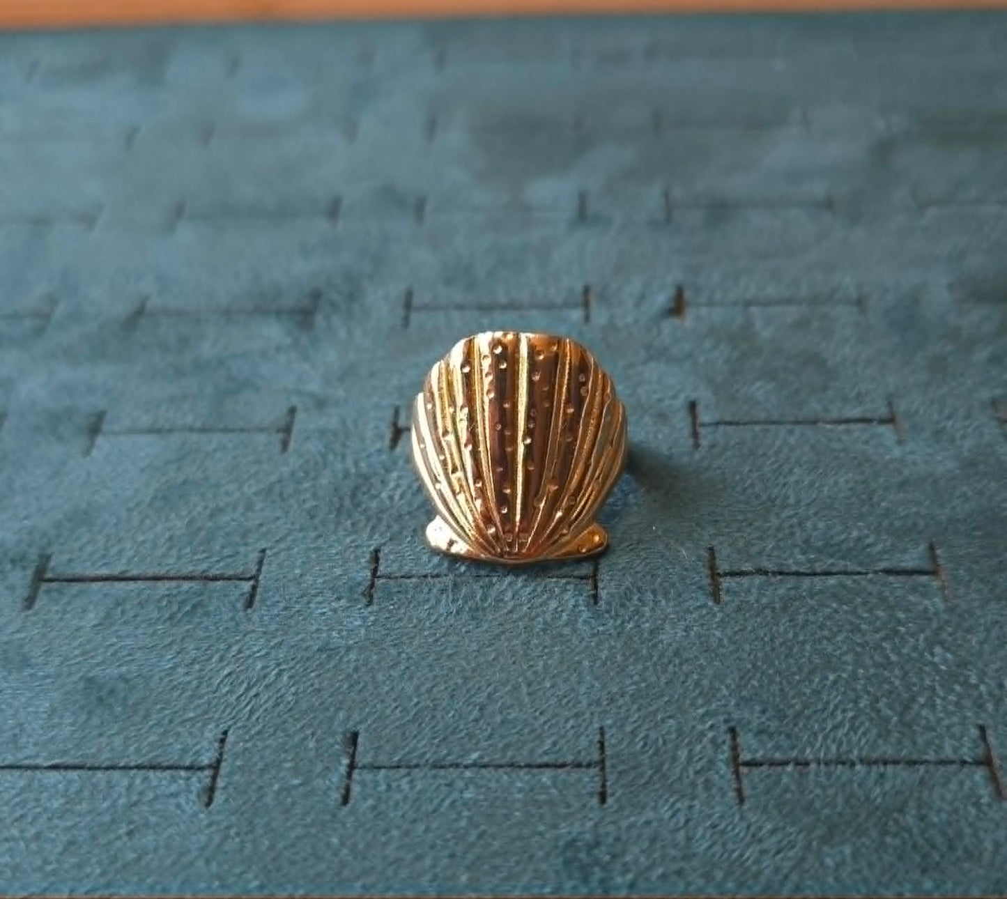 golden seashell